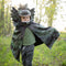 Great Pretenders Verkleedkledij Dilophosaurus cape met klauwen - Groen - Maat 4-6 jaar