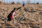 Great Pretenders Verkleedkledij Omkeerbare Holografische Bliksem cape - Multi - Maat 5-6 jaar
