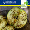 Green Protect Fruitvliegjesval
