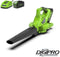 Greenworks Bladblazer/-zuiger 40 V groen