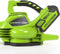 Greenworks Bladblazer/-zuiger 40 V groen