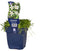 Griffioen - Isotoma fluviatilis 'Alba'