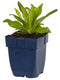 Griffioen - Veronica gentianoides