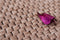 Grijs vloerkleed - 160x230 cm - A-symmetrisch patroon - Modern