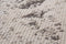 Grijs vloerkleed - 80x150 cm - A-symmetrisch patroon - Modern Modern