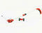 Grizzly Telescopisch Handvat en Wielen - Voor AGS 360, 360 Lion set, 720-2 Lion set