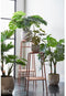 Mica Decorations Monstera - Kunstplant H60 x Ø80 cm - Onderhoudsvrij Groen