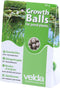 Groeibollen