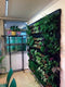 Groeilamp Bloeilamp Lineair Spot LED Greenwall 120cm 120°
