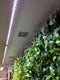 Groeilamp Bloeilamp Linear Spot LED 90cm 30° 45W