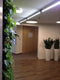 Groeilamp Bloeilamp Linear Spot LED 90cm 30° 45W