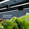 Groeilamp LED voor Planten | Professionele Full Spectrum Kweeklamp Lengte 79.5cm|Voor Alle Planten & Groeistadia | PlantSpectrum32