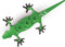 Groen Amigos Organiser Hagedis