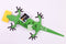 Groen Amigos Organiser Hagedis