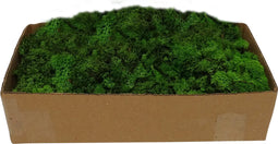 Groen Rendiermos - Doos 500gr - My Village