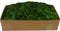 Groen Rendiermos - Doos 500gr - My Village