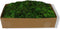 Groen Rendiermos - Doos 500gr - My Village