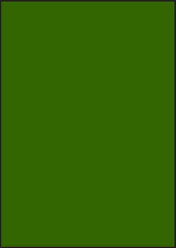 Groene A4 etiketten 210 x 297 mm (100 vel)