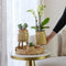 Groene planten met gele Phalaenopsis orchidee in Vintage khaki sierpotten en hyacinth dienblad
