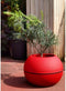Grondlegger Riviera D40 Klot Rood Graniet Ø 40 cm
