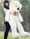 Grote Knuffelbeer - Teddybeer - knuffel - pluche 1,2 mtr groot