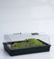 Grote kweekbak/kweekkastje met deksel 24 x 59 x 39 cm - Propagator/moestuinbak