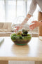 Growing Concepts DIY Duurzaam Ecosysteem Biodome - Planten - Botanische Mix - H30xØ30cm