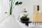 Growing Concepts DIY Duurzaam Ecosysteem Bol Demeter Giant met Lamp - Planten - Botanische Mix - H42xØ40cm