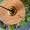 Growing Concepts DIY Duurzaam Ecosysteem Bol Demeter Giant met Lamp - Planten - Botanische Mix - H42xØ40cm