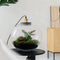 Growing Concepts DIY Duurzaam Ecosysteem Bol Demeter Giant met Lamp - Planten - Botanische Mix - H42xØ40cm