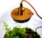 Growing Concepts DIY Duurzaam Ecosysteem Bol Demeter Giant met Lamp - Planten - Botanische Mix - H42xØ40cm