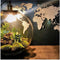 Growing Concepts DIY Duurzaam Ecosysteem Bol Demeter Giant met Lamp - Planten - Botanische Mix - H42xØ40cm