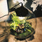 Growing Concepts DIY Duurzaam Ecosysteem Bol Demeter Giant met Lamp - Planten - Botanische Mix - H42xØ40cm
