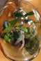 Growing Concepts DIY Duurzaam Ecosysteem Egg Large - Planten - Ficus Ginseng - H30xØ18cm