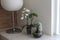 Growing Concepts DIY Duurzaam Ecosysteem Egg Large - Planten - Ficus Ginseng - H30xØ18cm