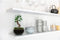 Growing Concepts DIY Duurzaam Ecosysteem Egg Medium - Planten - Ficus Ginseng - H25xØ12cm