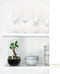 Growing Concepts DIY Duurzaam Ecosysteem Egg Medium - Planten - Ficus Ginseng - H25xØ12cm