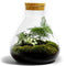 Growing Concepts DIY Duurzaam Ecosysteem Erlenmeyer met Kurk Medium - Planten - Botanische Mix - H26xØ22cm