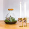 Growing Concepts DIY Duurzaam Ecosysteem Erlenmeyer met Kurk Medium - Planten - Botanische Mix - H26xØ22cm