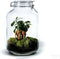 Growing Concepts DIY Duurzaam Ecosysteem Weckpot 5L - Planten - Ficus Ginseng - H28xØ18cm