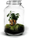 Growing Concepts DIY Duurzaam Ecosysteem Weckpot 5L - Planten - Ficus Ginseng - H28xØ18cm