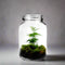 Growing Concepts DIY Duurzaam Ecosysteem Weckpot 5L - Planten - Ficus Ginseng - H28xØ18cm
