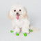 Schoenen Pawz Hond 12 Stuks Groen