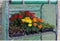 GroZone Kweekkast - 4 trede