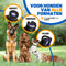Vulpes Goods® Pets - Elektrische Nagelvijl - 2 Snelheden - Smart LED - Diamant Vijlkop - Zwart
