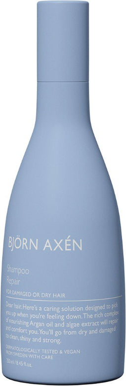Björn Axén - Repair Shampoo