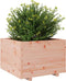 vidaXL - Plantenbak - 70x70x49,5 - cm - massief - douglashout