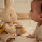 Little Dutch - Newborn Naturals - Activiteitenknuffel Konijntje - Bruin