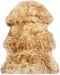 vidaXL - Vloerkleed - 60x180 - cm - schapenvacht - gemêleerd - bruin