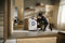 Miele TSD 643 WP EcoSpeed - Wasdroger - 9 kg - Wash2Dry